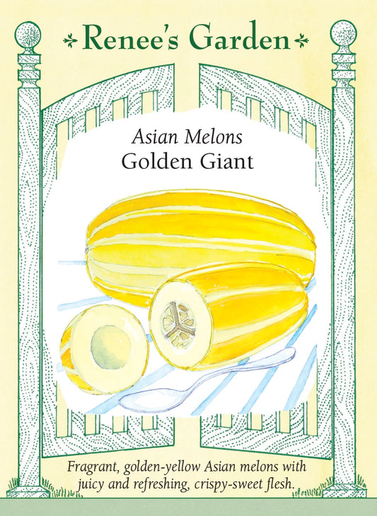 Golden Giant