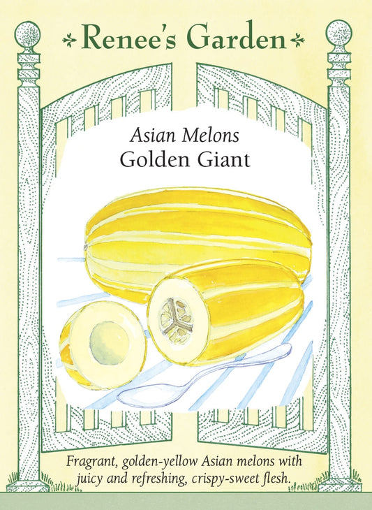 Golden Giant