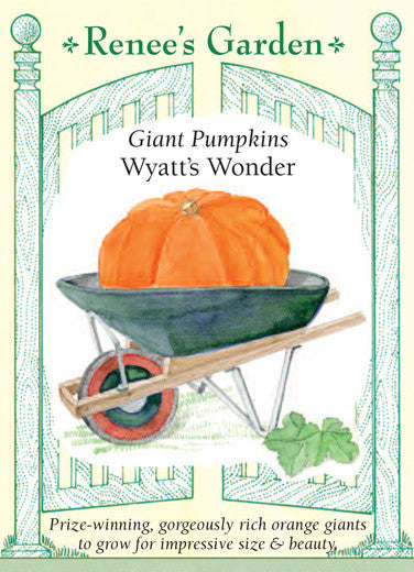 Wyatt's Wonder