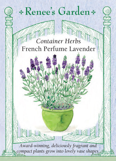 French Perfume Lavender