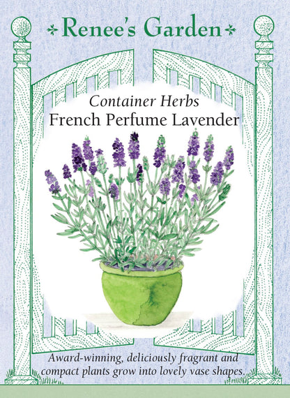 French Perfume Lavender