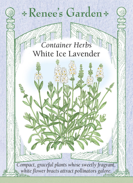 White Ice Lavender