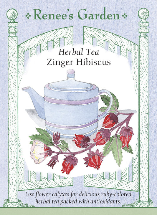 Zinger Hibiscus