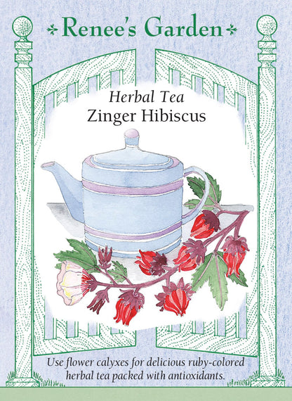 Zinger Hibiscus