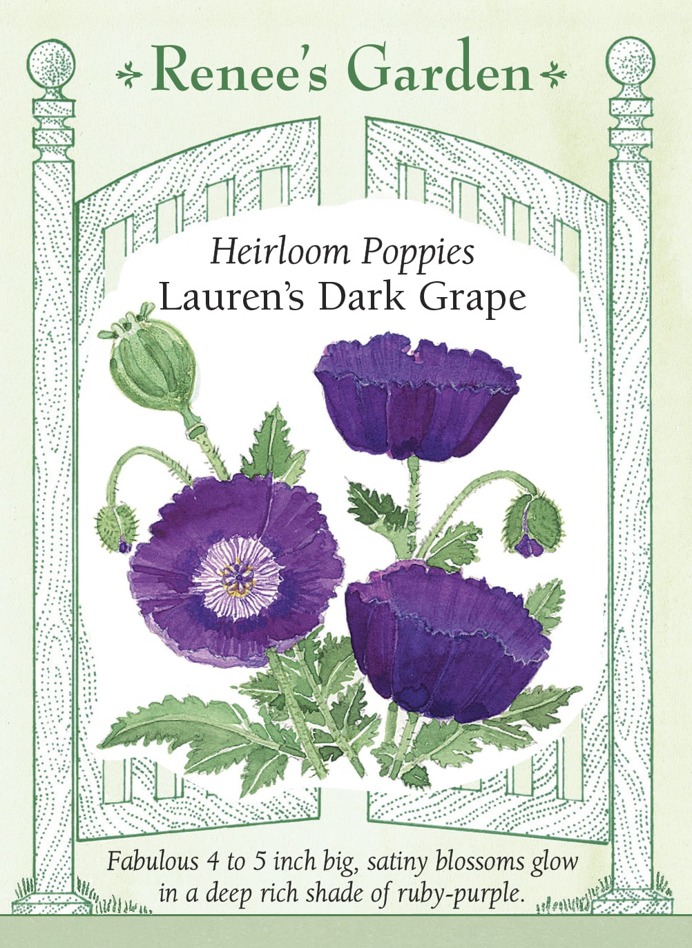 Lauren’s Dark Grape