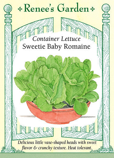 Sweetie Baby Romaine