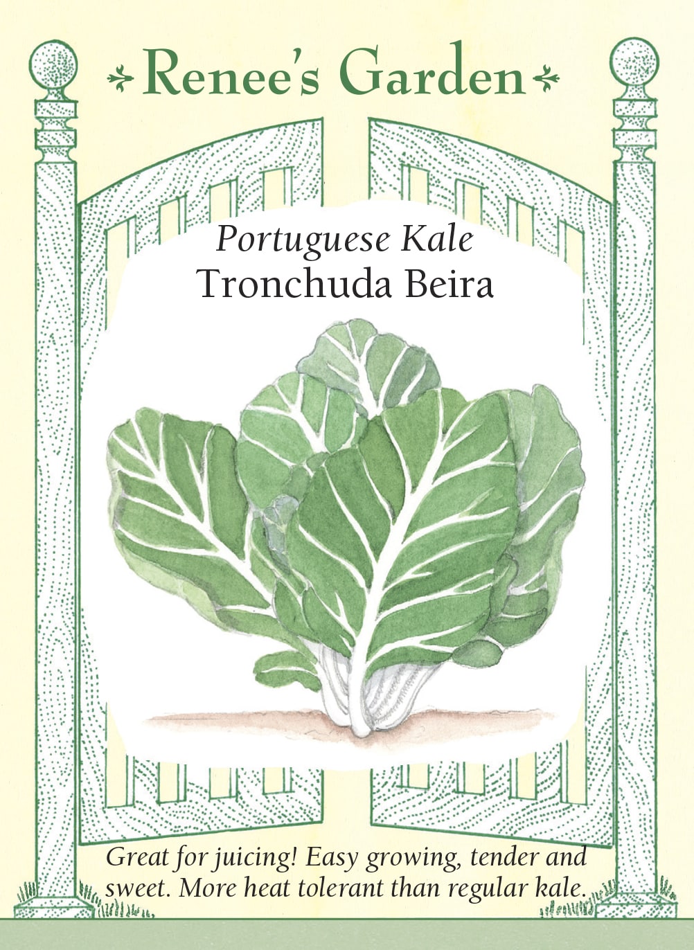 Tronchuda Beira