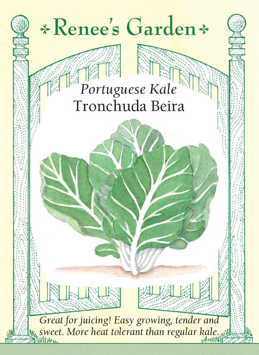 Tronchuda Beira