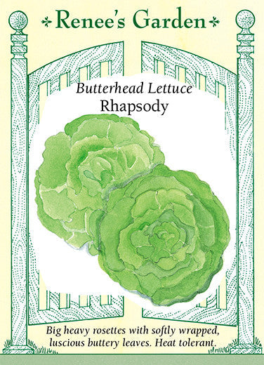 Rhapsody