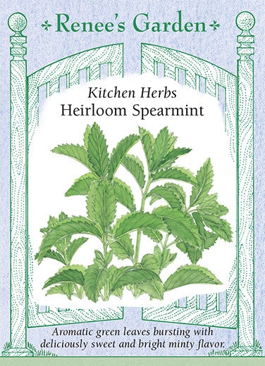 Heirloom Spearmint