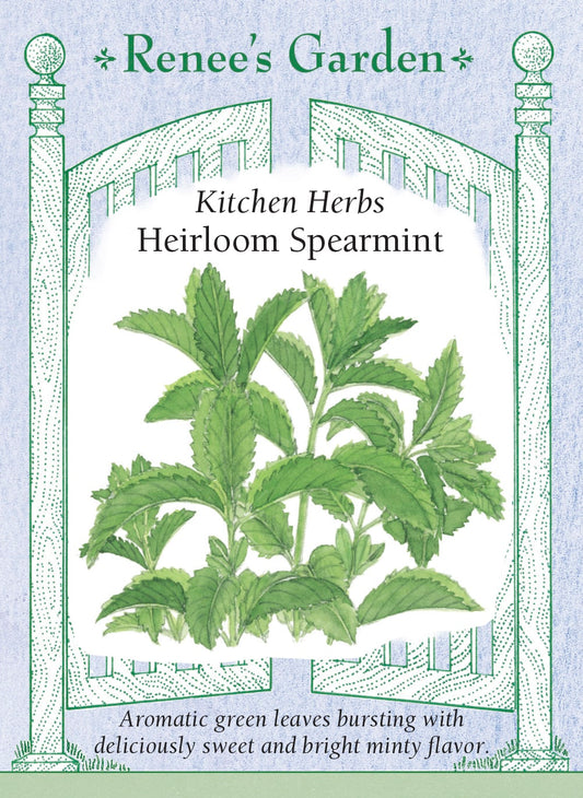 Heirloom Spearmint