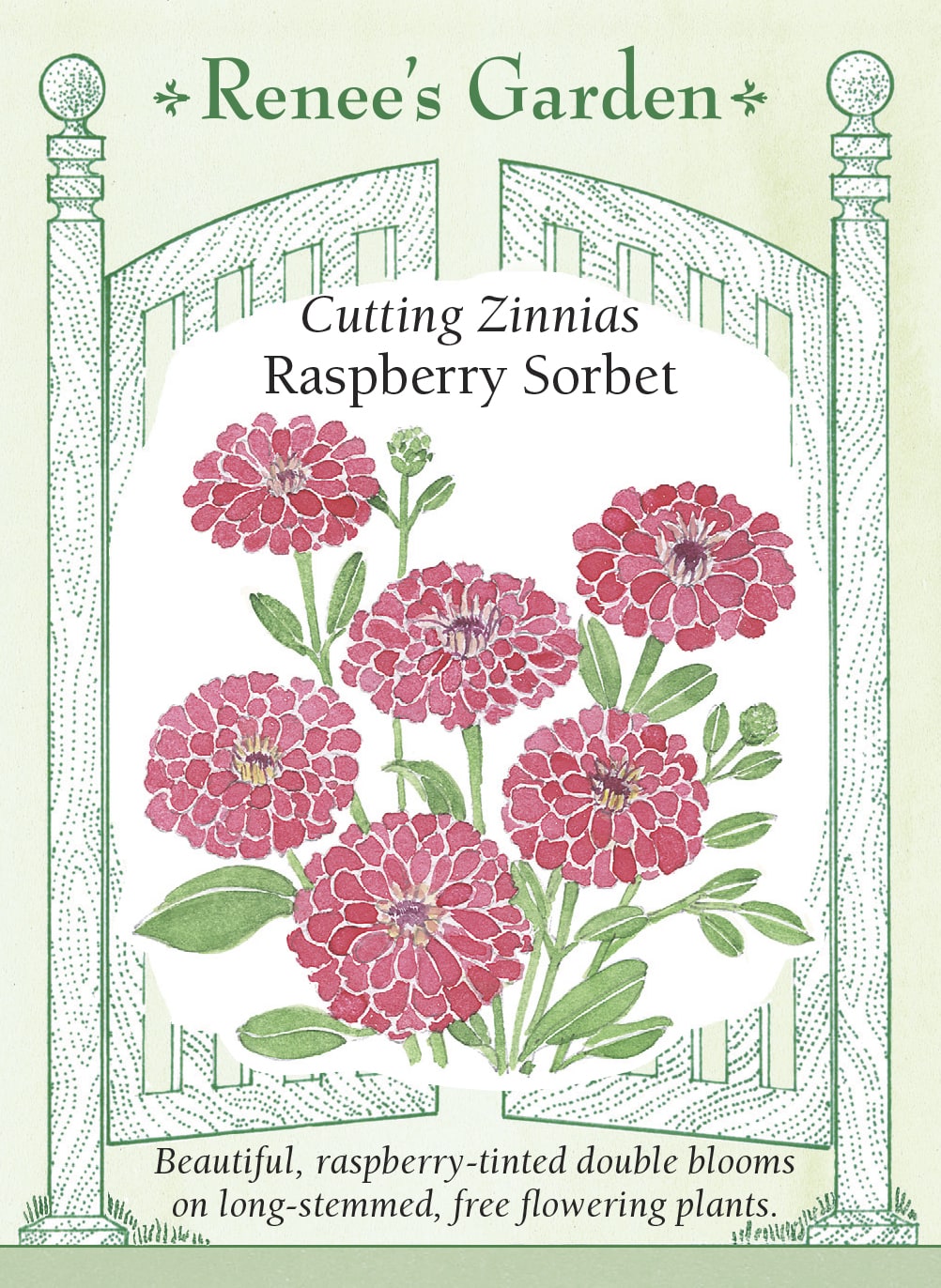 Raspberry Sorbet