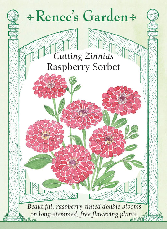 Raspberry Sorbet