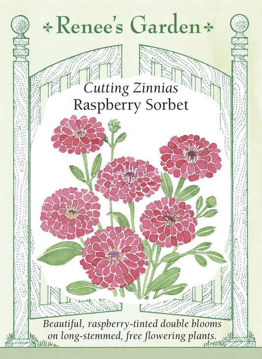 Raspberry Sorbet