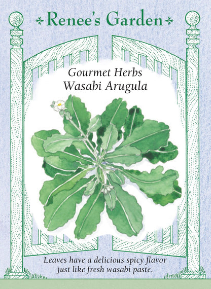 Wasabi Arugula