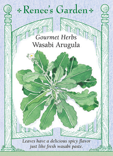 Wasabi Arugula