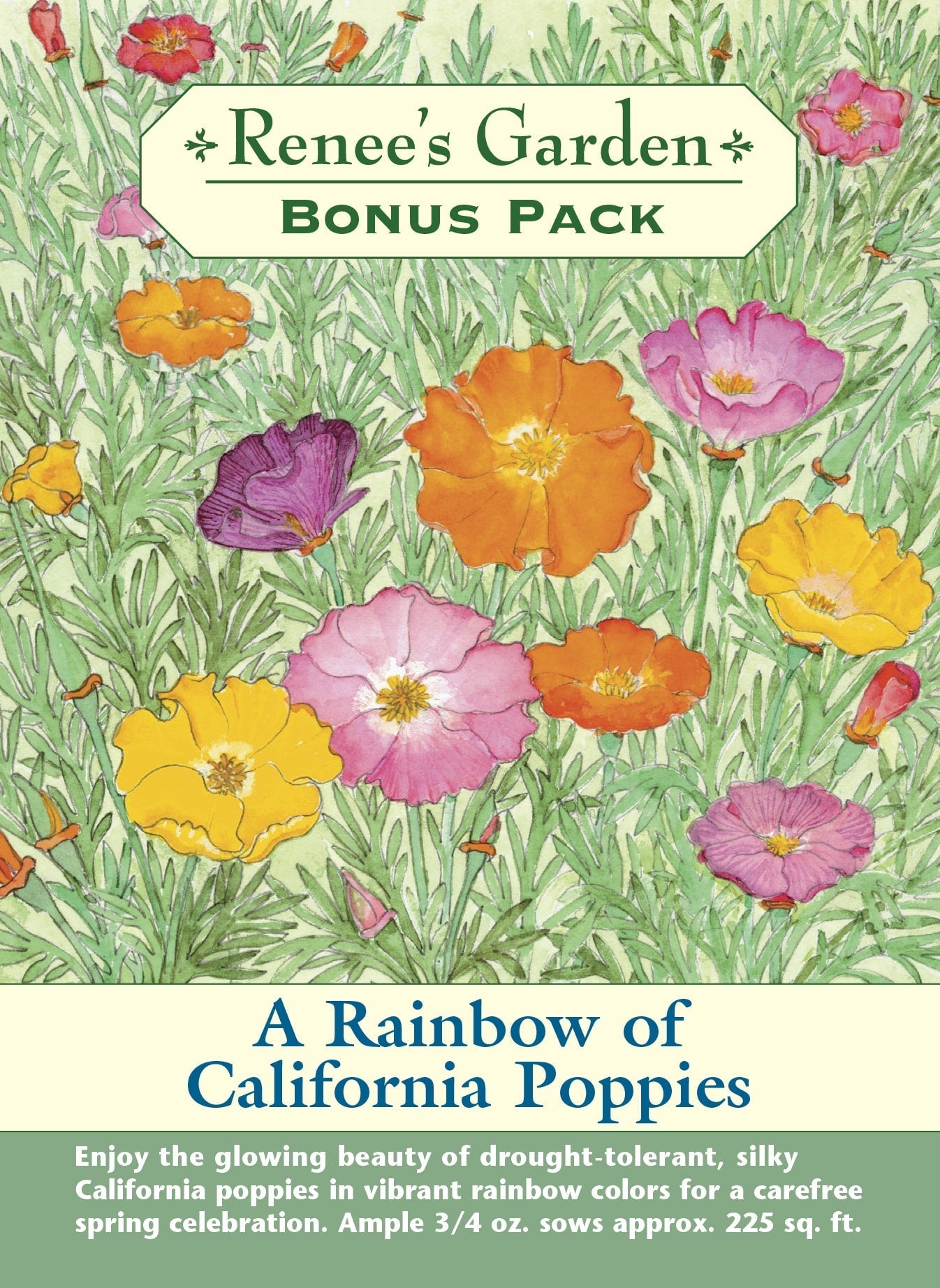 A Rainbow of California Poppies