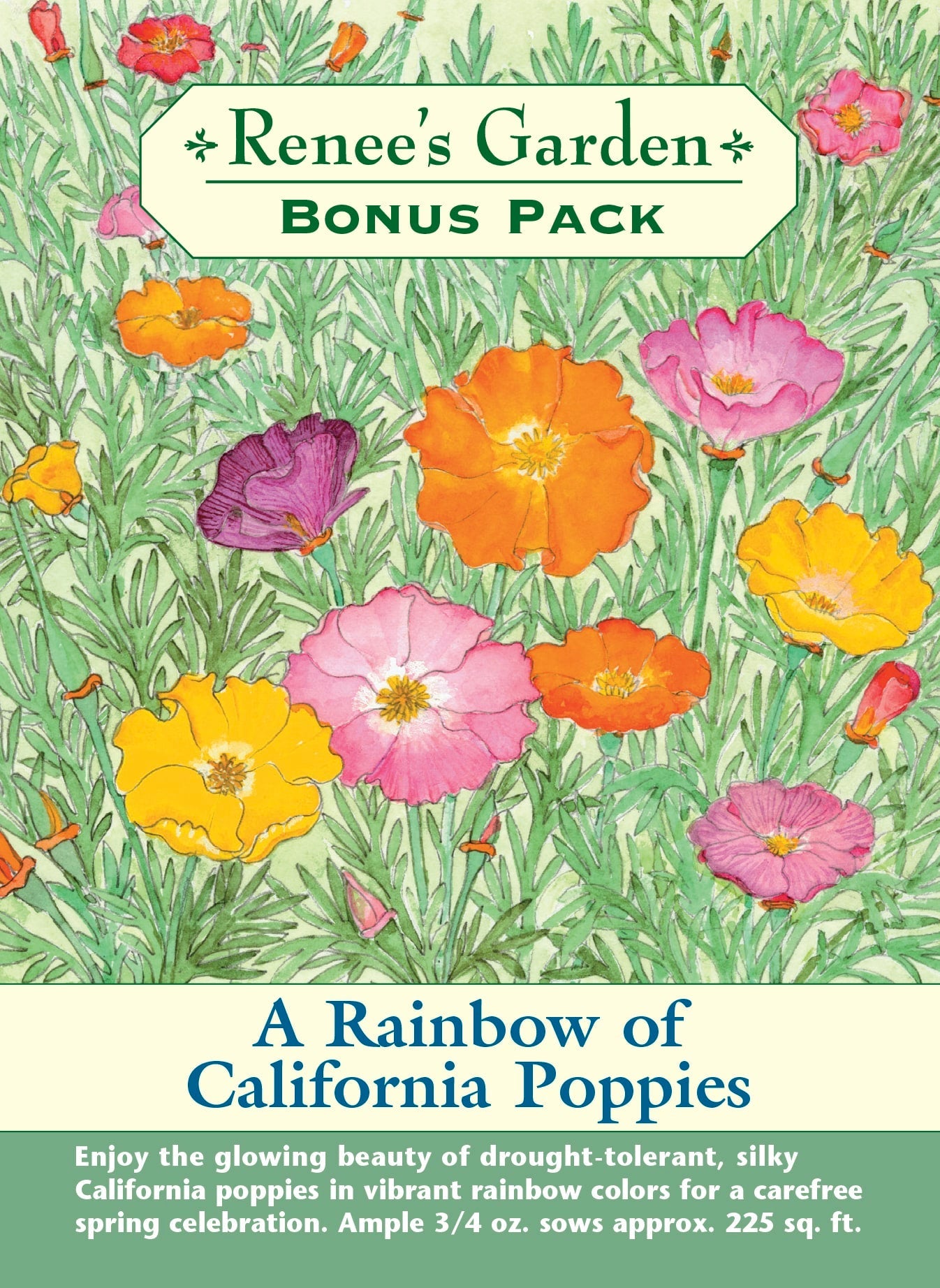 A Rainbow of California Poppies