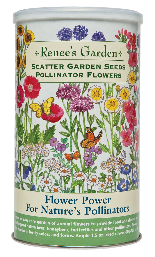 Flower Power For Nature's Pollinators