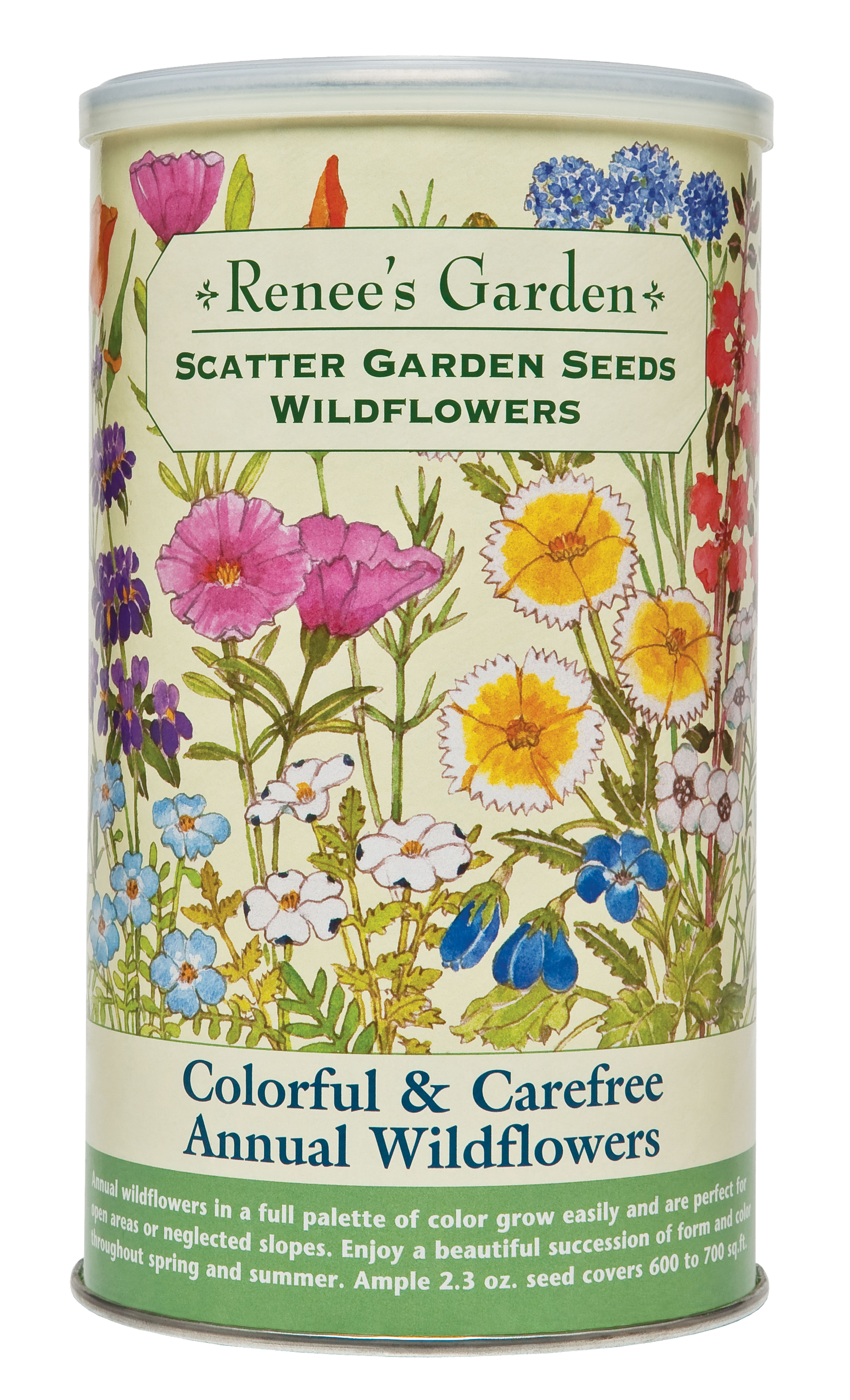 Colorful & Carefree Annual Wildflowers