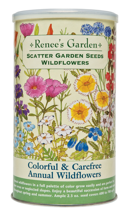 Colorful & Carefree Annual Wildflowers