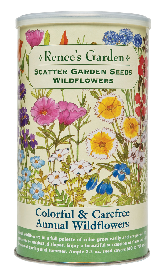 Colorful & Carefree Annual Wildflowers