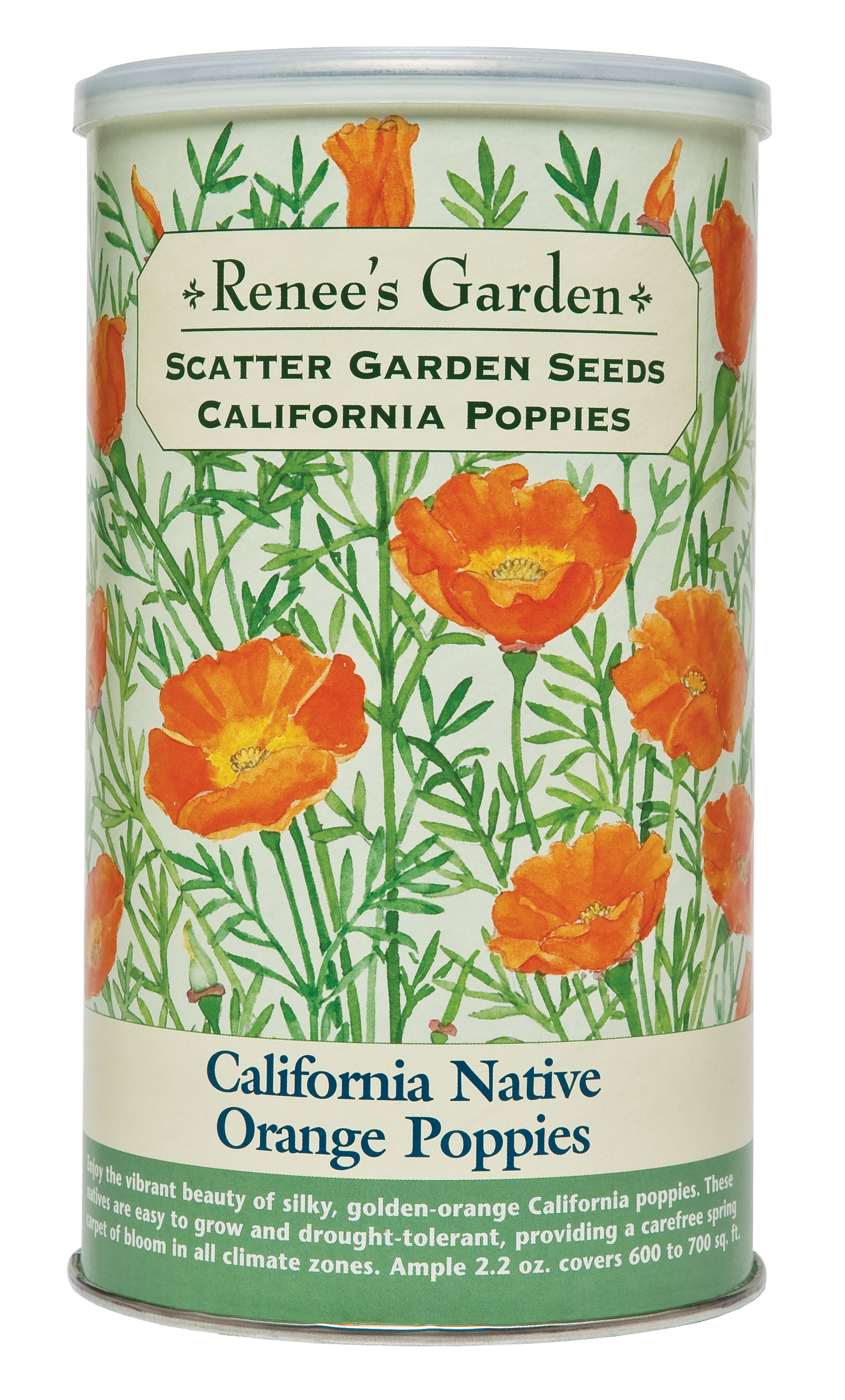 California Native Orange Poppies