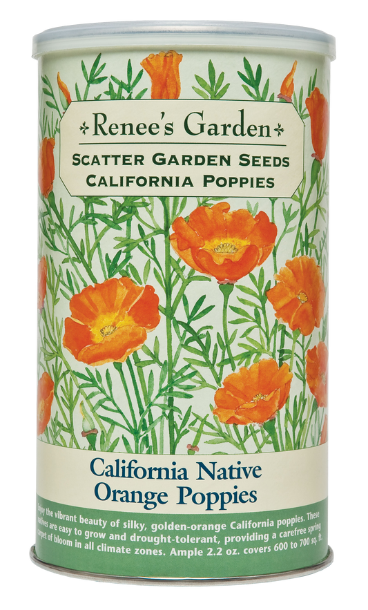 California Native Orange Poppies