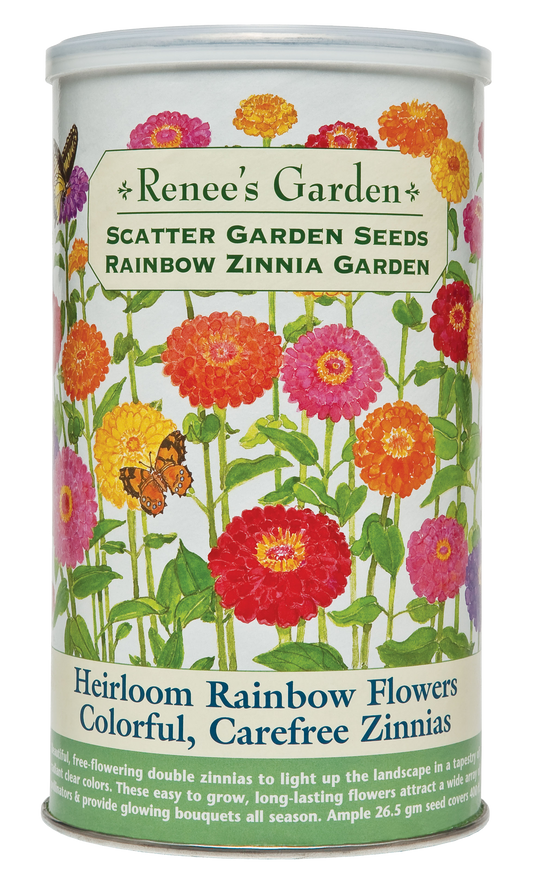 Heirloom Rainbow Flowers Colorful, Carefree Zinnias