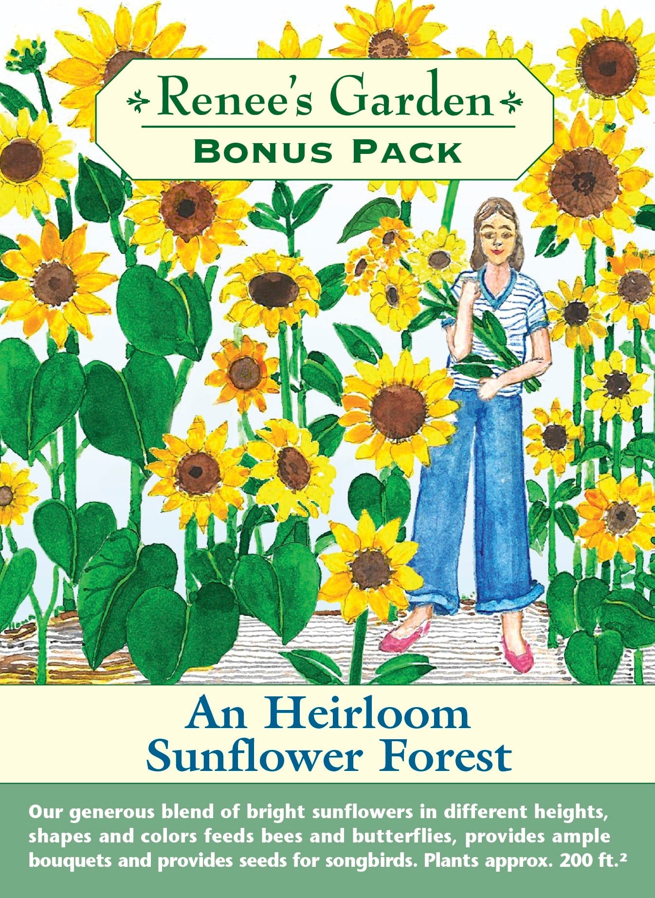 An Heirloom Sunflower Forest