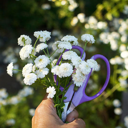 ARS Garden Scissors