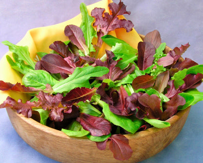 The Rainbow Kitchen Vegetable Garden