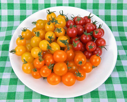 The Rainbow Kitchen Vegetable Garden