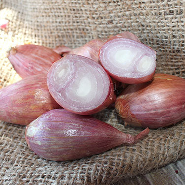 Red Shallots