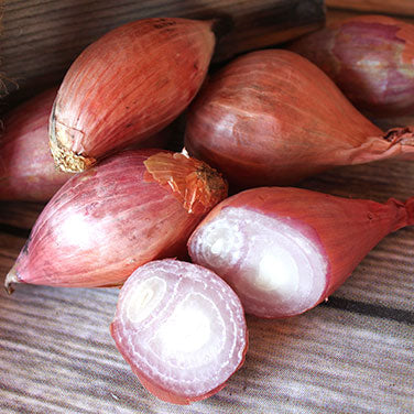 Red Shallots