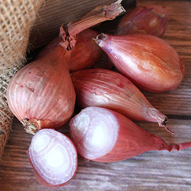 Red Shallots