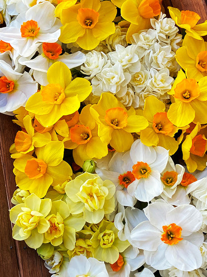 Narcissus Perfume Mix