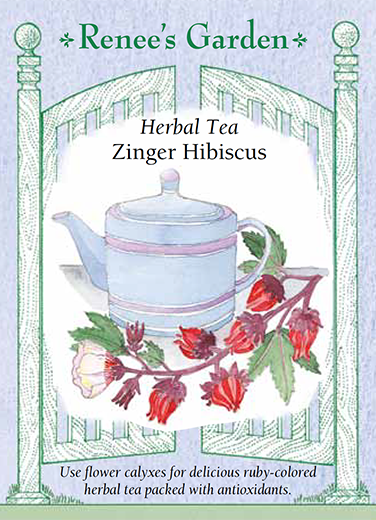 Zinger Hibiscus