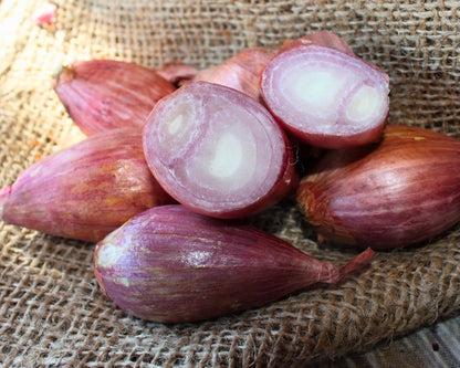 Red Shallots