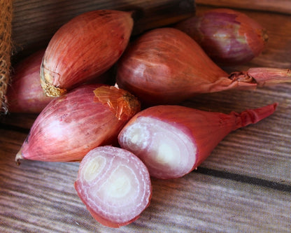 Red Shallots