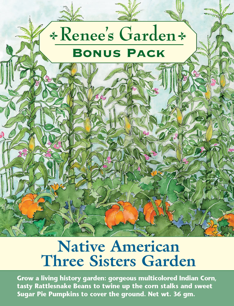 Native American Three Sisters Garden