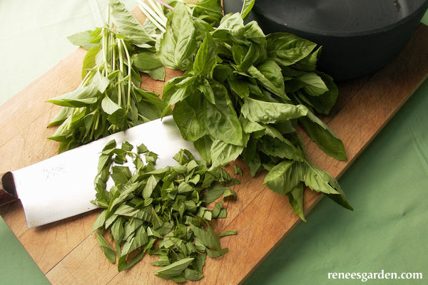 Italian Pesto Basil