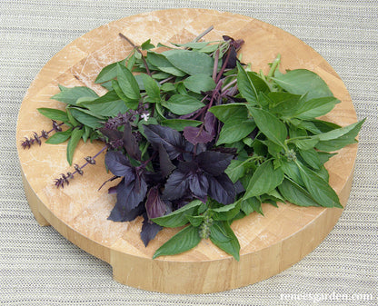 Scented Basil Trio