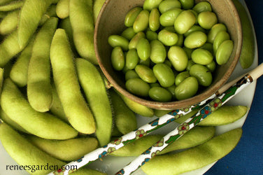 Edamame