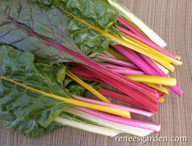 Garden Rainbow