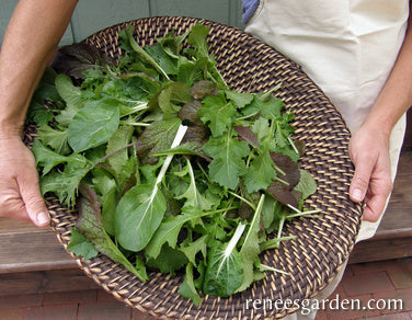 Renee's Stirfry Mix