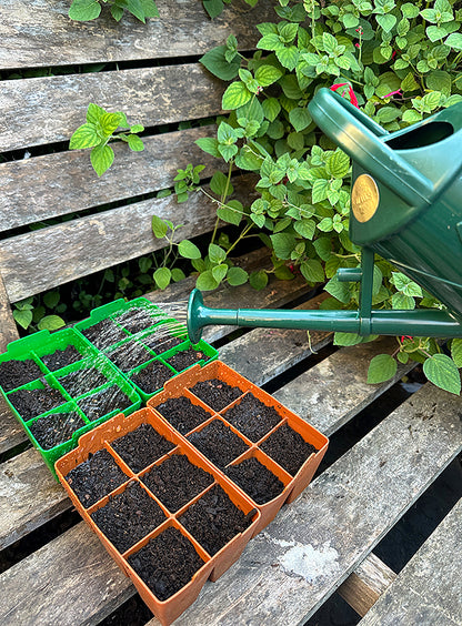 Haws 2 Pint Heritage Watering Can