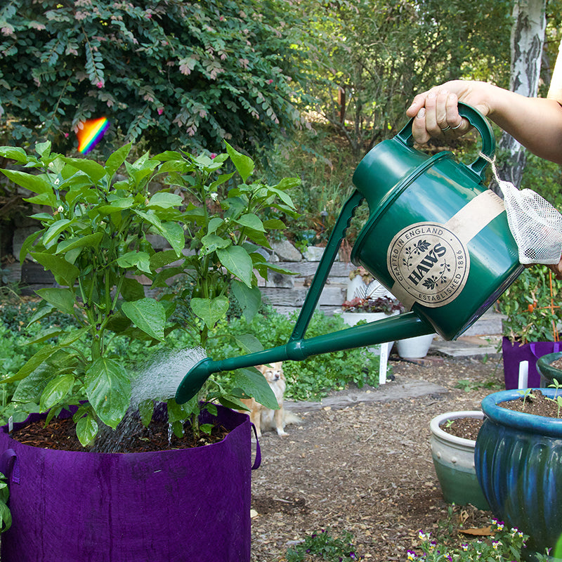 Haws 1.8 Gallon Classic Watering Can