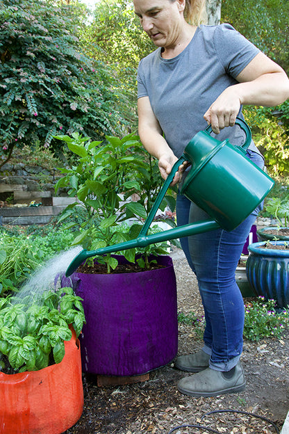 Haws 1.8 Gallon Classic Watering Can