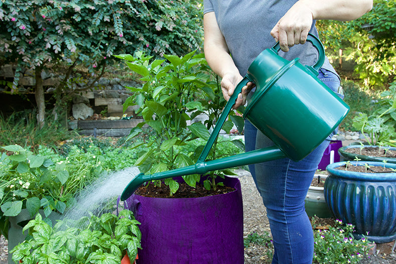 Haws 1.8 Gallon Classic Watering Can